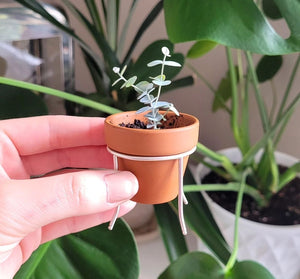 Sterling Silver Tiny Plant Stand #014
